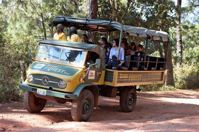 rutas de safari